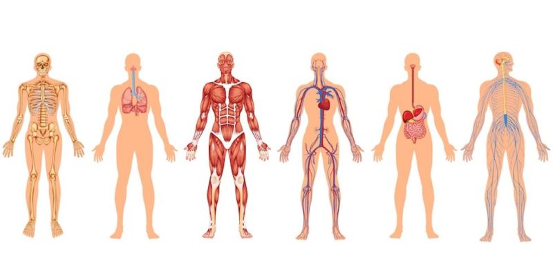 ANATOMOFISIOLOGIA Y PATOLOGIA BASICAS