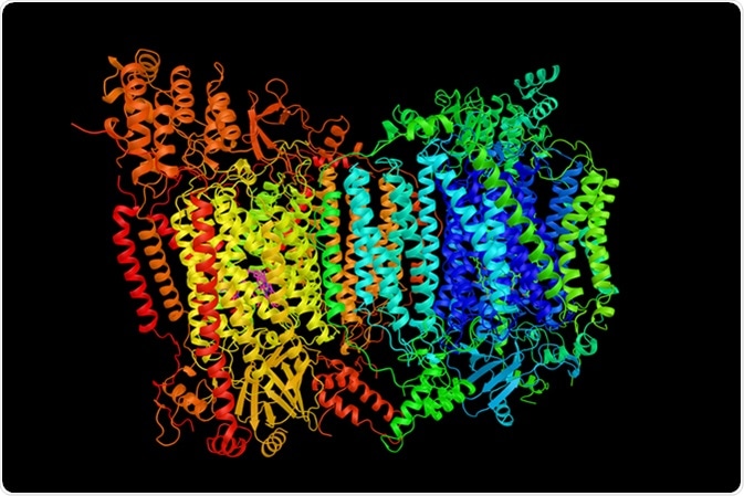 BIOLOGÍA 2º BCHTO.